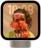 Apple HomeView icon