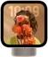 Apple HomeView icon