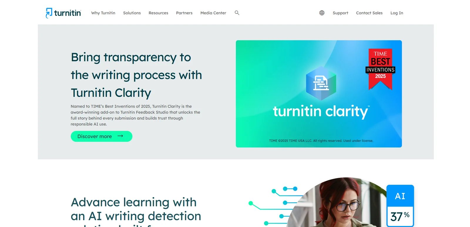 Turnitin detection interface