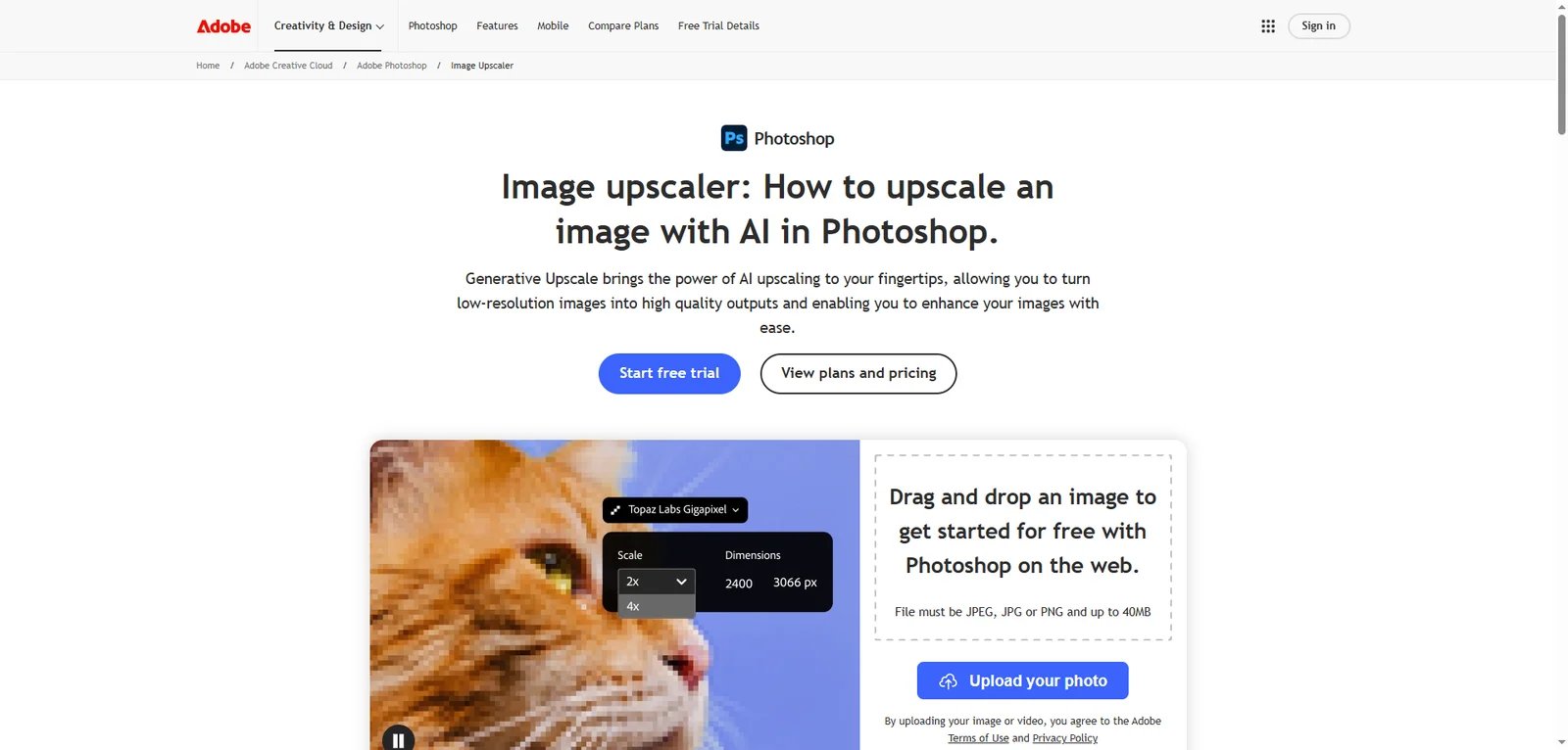 Adobe Image Upscaler interface