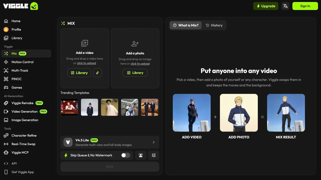 Viggle Mix's separate video and photo inputs with an explanation of the character-swap workflow.
